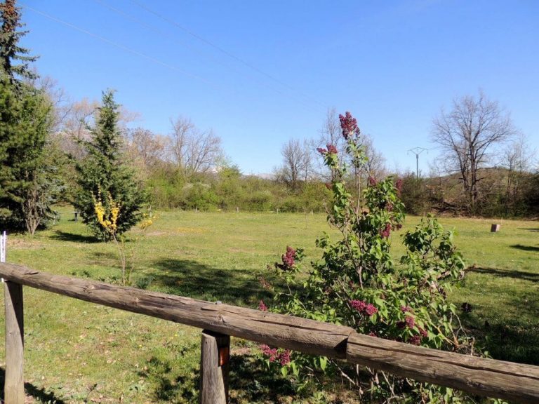 elevage-equin-la-saulce